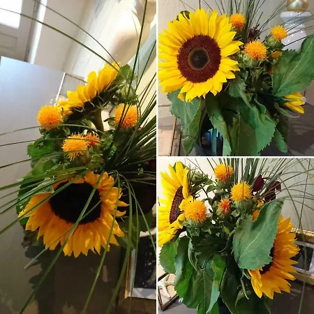 Domaine De Bourgville 4*